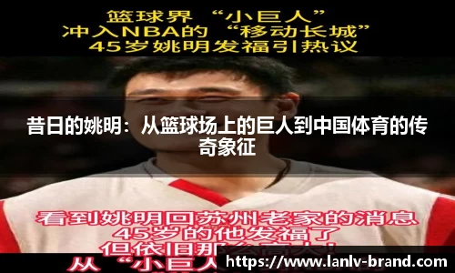 昔日的姚明：从篮球场上的巨人到中国体育的传奇象征