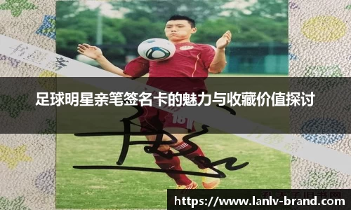 bsports必一体育
