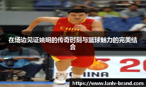 在场边见证姚明的传奇时刻与篮球魅力的完美结合