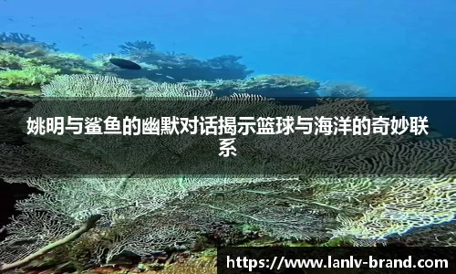bsports官网