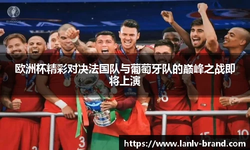 bsport体育官网